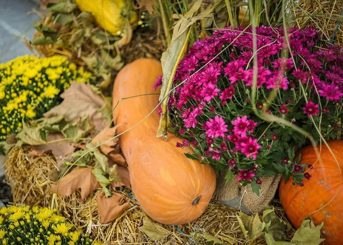 Romantic Appartement