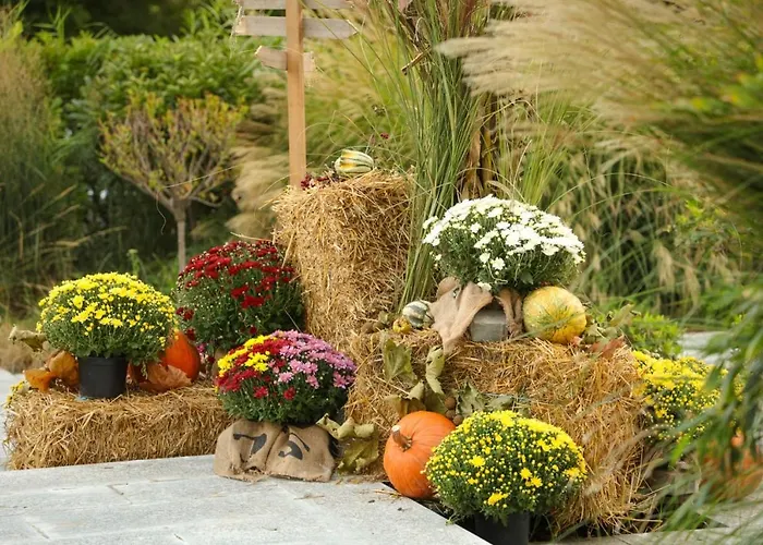 Appartement Romantic *